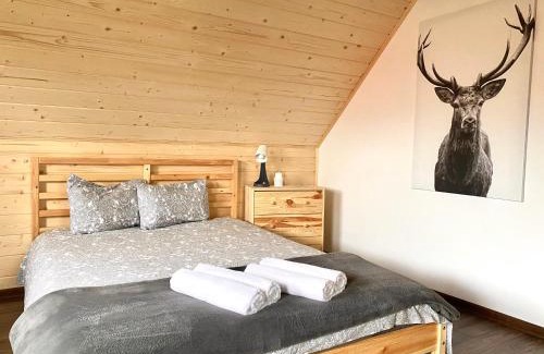 Istebna Apartment | Osada Koniaków 3