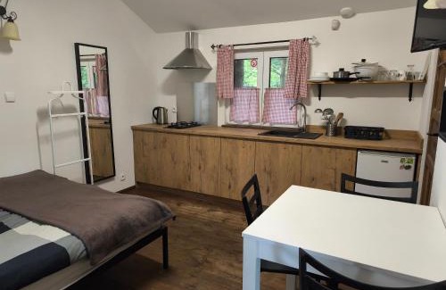 Czarny Mlyn Cabin | Osada pod Czerwonym Dębem - Czarny Młyn