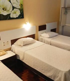 Centro Hotel | Oscar Palace Hotel - Centro de Tubarão