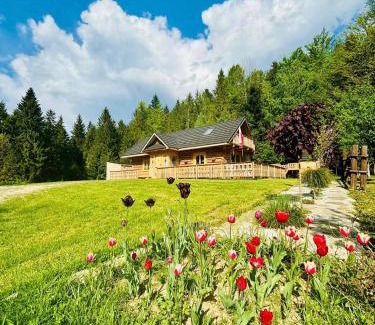 gmina Kamienica Ski Chalet | Oskarówka domek w górach na odludziu z jacuzzi i sauną - kominek i Netflix