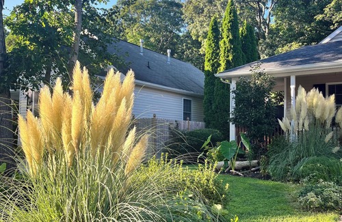 Lower Township Apartment | OSPREY NEST n 300+ ⭐️⭐️⭐️⭐️⭐️ Reviews! Secluded. Peaceful. Near beaches & town