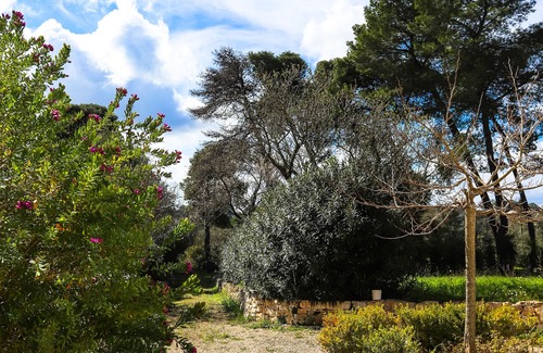 Ostuni Apartment | Ostuni Blue Room Suite