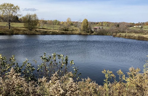 Cooperstown Cabin | Our Ctown property,lite cooking,1 bedroom slp3Cabin WiFi~AC&fishing in our pond!