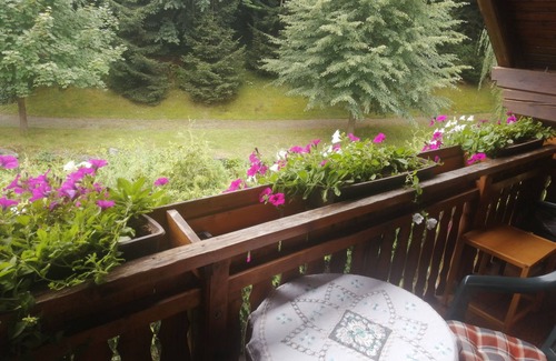 Poertschach am Woerthersee Apartment | Out in the open, quiet, no traffic, close to the center