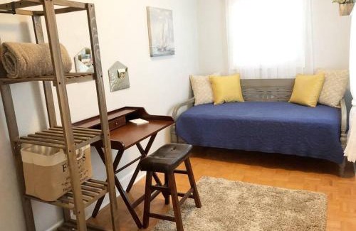 Downtown Dunedin Apartment | Overlooking Downtown Dunedin Two Bedroom apartment NO KIDS, NO PETS