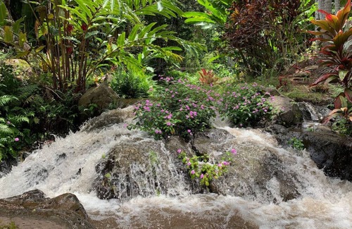 Kukuihaele Condo | OWL NEST: serene stream side retreat for 2 or 3
