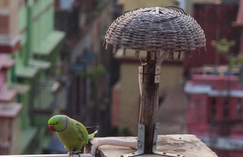 Kolkata Apartment | Owl's Nest: attic room