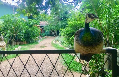 Udawalawa House | Owls Nest
