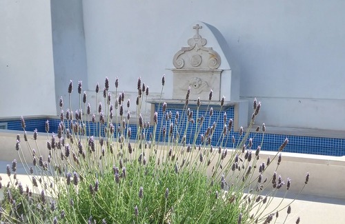 Evora House | Páteo dos Oliveira - Casa da Cocheira