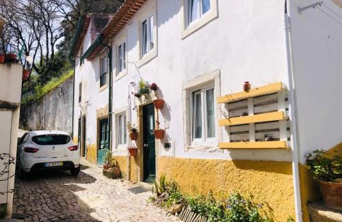 Tomar House | Pé do Castelo Casinha - pet friendly & garage