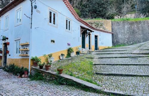 Tomar House | Pé do Castelo Casinha - pet friendly & garage