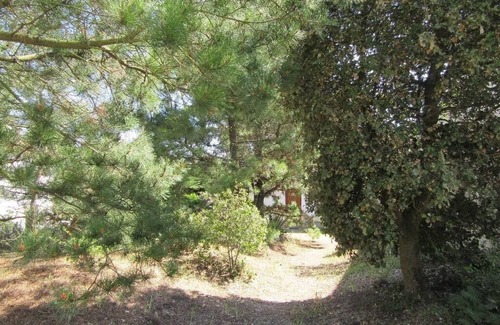 Travo House | Pétrouchka dans les pins - Saint Hilaire de Riez