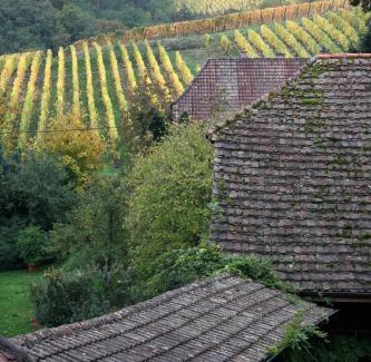 Rodern Hotel | Pêche de Vigne & Spa
