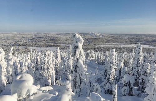 Syote Apartment | Pöllönpesä Iso-Syöte