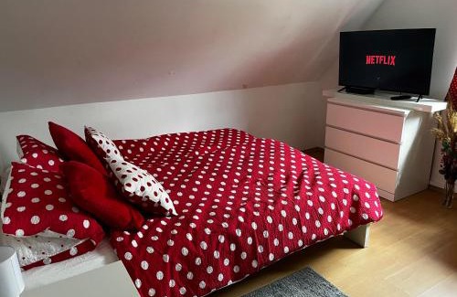 Tiszababolna Apartment | PöttyösOtthon Vendégház