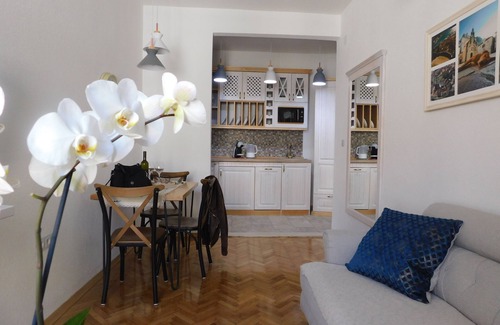 Kotor Apartment | P. S. Cattaro Apartment2