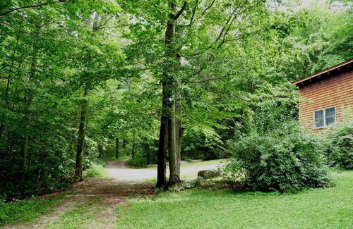 Penfield Cabin | PA Wilds Mtn Cabin, 8 pvt acres in state forest, near Elk Herd & 2 State Parks