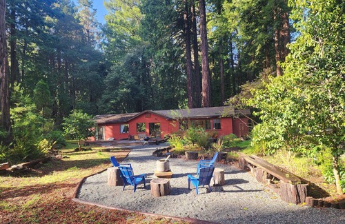 Fort Bragg House | Pacific Redwood Hideaway - Pristine forest, luxurious, private and pet friendly