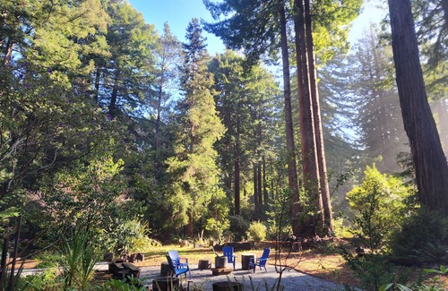 Fort Bragg House | Pacific Redwood Hideaway - Pristine forest, luxurious, private and pet friendly