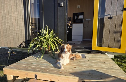 Wesburn House | Paddock & Peak 1 by Tiny Away