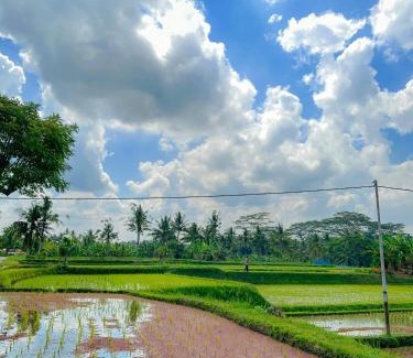 Sayan Villa | Paddy House Ubud