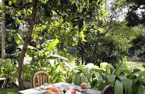 Cheena Kotuwa Cabin | Paddy view superior bungalow 2