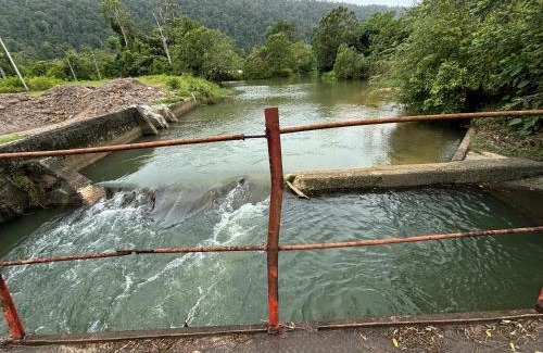 Kuala Teriang Villa | Padimas Villa @Datai Valley