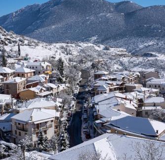 Arachova House | Paeonia Arachova