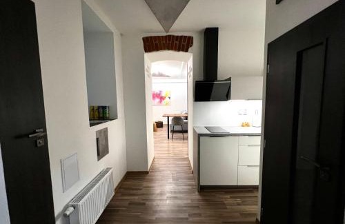 Olomouc Apartment | Palackého Lobby Apartment