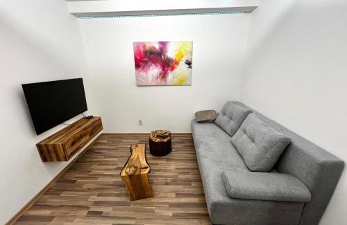 Olomouc Apartment | Palackého Lobby Apartment