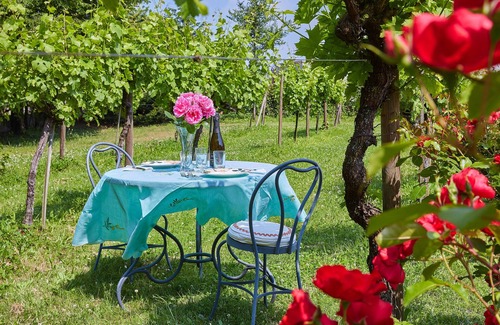 Erbusco Villa | Palazzo Milesi, exclusive 17th century villa in FRANCIACORTA one hour from MILAN