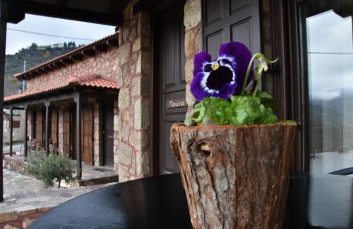 Mesaia Trikala House | Paliokastro Guesthouse