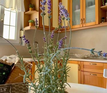 Alexandroupoli Apartment | Palm Leaf