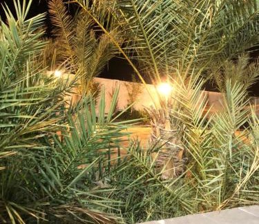Taif Ski Chalet | Palm Resort Chalet
