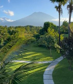 Tulamben Resort | Palm Springs Bali Dive Resort