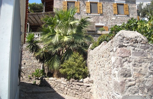 Mithimna Apartment | Palm Tree Apartment 2 Central Molivos apartment with panoramic views