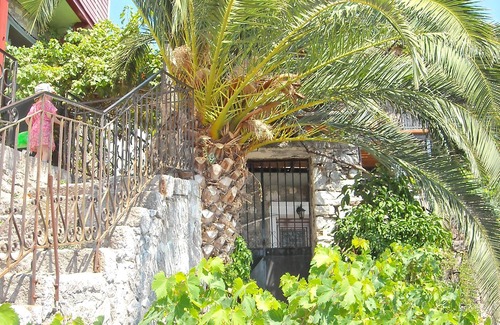 Mithimna Apartment | Palm Tree Apartment Central Molivos apartment with panoramic views