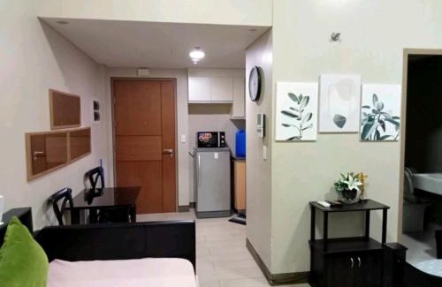 Pasay Apartment | Palm Tree Villas 2