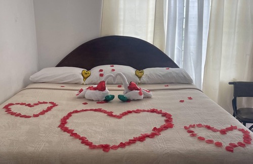 Montego Bay Hotel | Palm View Guesthouse and Conference Centre