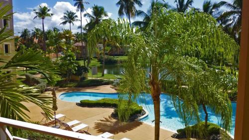 Candelero Abajo Apartment | Palm View