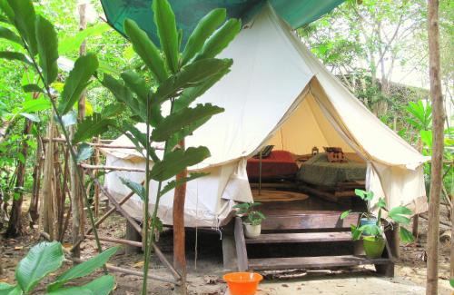 Isla Bastimentos Cabin | Palmar Beach Lodge