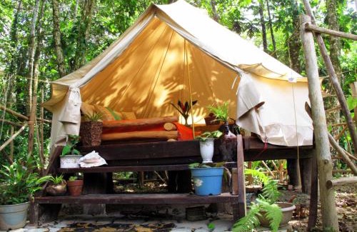 Isla Bastimentos Cabin | Palmar Beach Lodge
