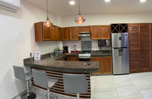 R Apartment | PALMAS DE CHAHUE 4 (474 SF)