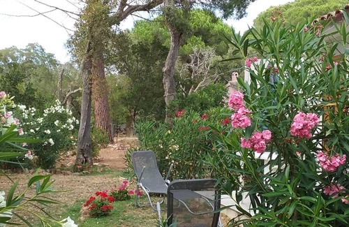 Hameau de Palombaggia Apartment | PALOMBAGGIA Air-conditioned studio in the heart of the maquis 700 meters from the beach