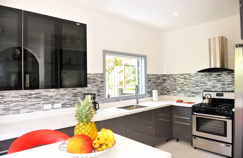 Mammee Bay Villa | Pampering Luxurious Modern Villa close to Dunn River Falls Ocho Rios
