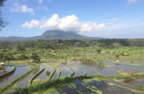 Ababi Resort | Pandan Guest House