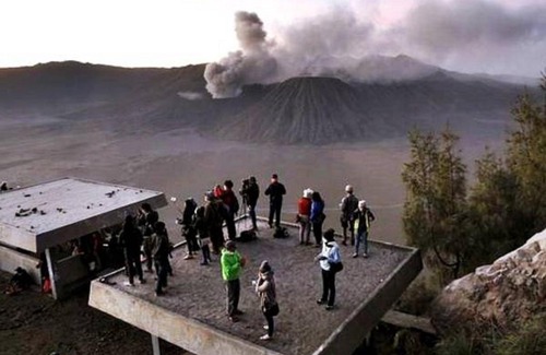 Tosari House | Pandya Bromo Homestay