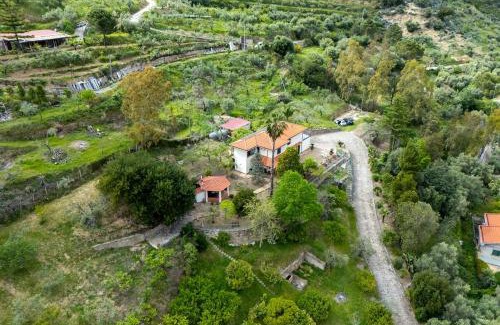 Santo Stefano di Camastra Apartment | Panoramic Villa Fiore di Limone near Cefalú