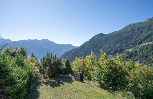 Ovronnaz Ski Chalet | Panorama Chalet Ovronnaz 180 View 2BA 10 pax