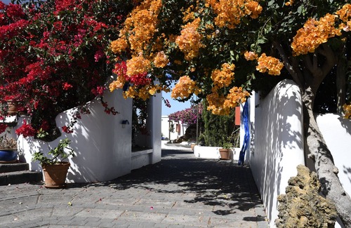 La Matanza de Acentejo House | panoramic view Vineyards 2 Bed+2bathrrooms Pool Heated
